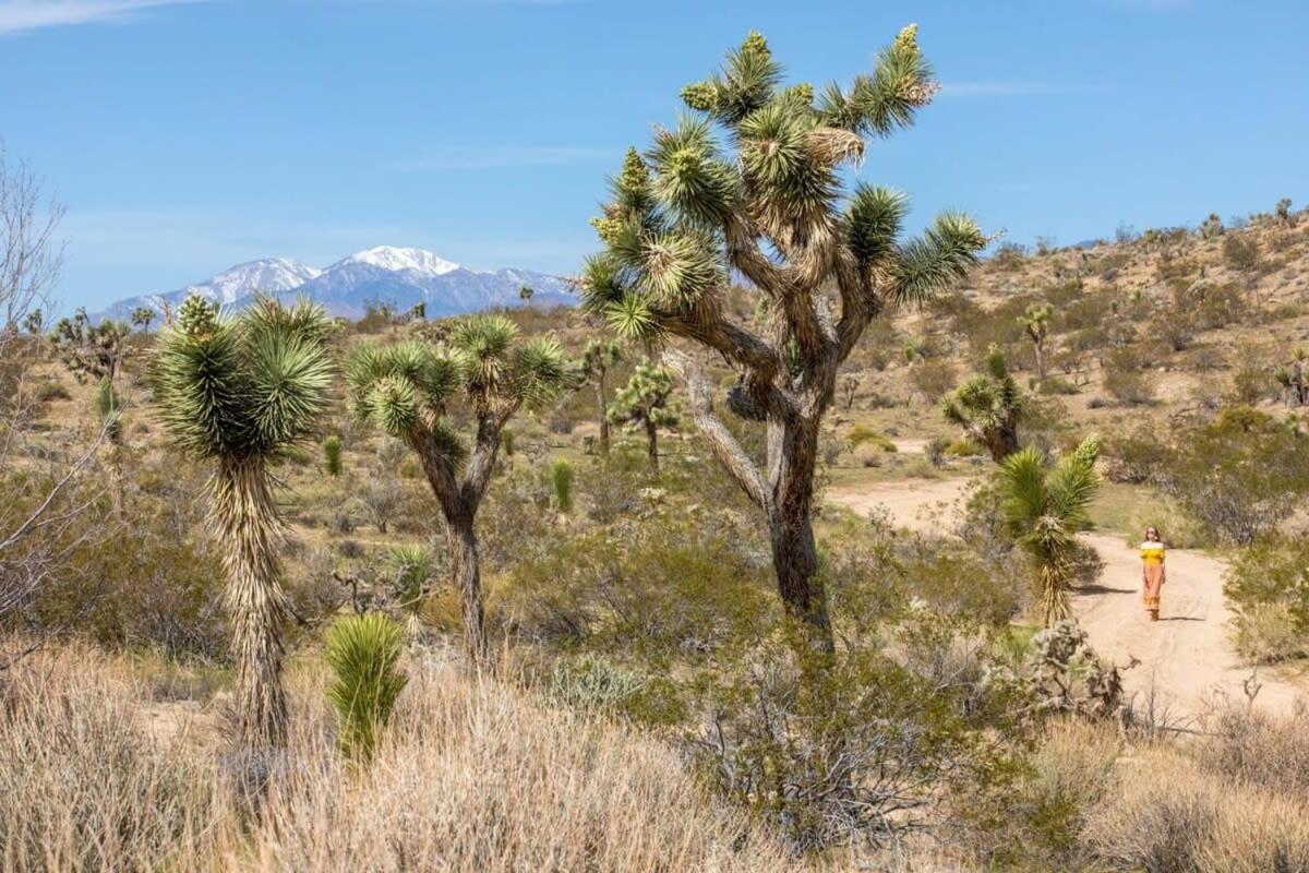 The Bungalows By Homestead Modern Joshua Tree Exterior photo